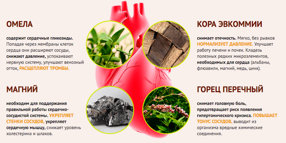 Повысить сердечный тонус. Продукты для сосудов для улучшения. Травы понижающие давление. Продукты для повышения тонуса сердца. Продукты для понижения давления.